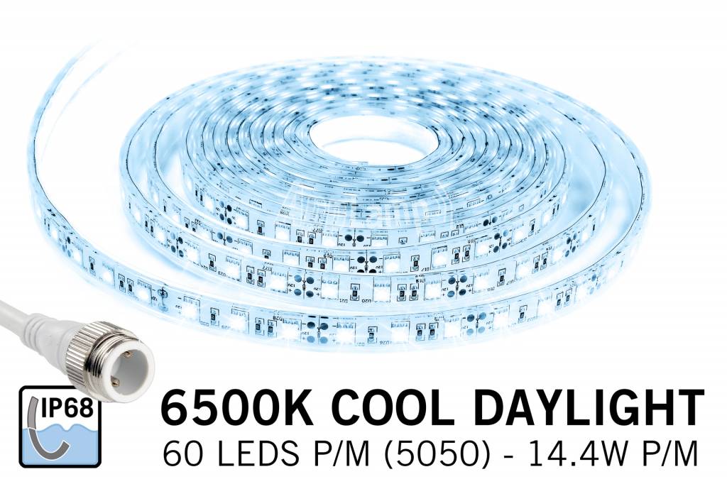 Waterdichte IP68 LED strip Koud Wit Daglicht, 300 leds, 12V, 1.50 - 5M
